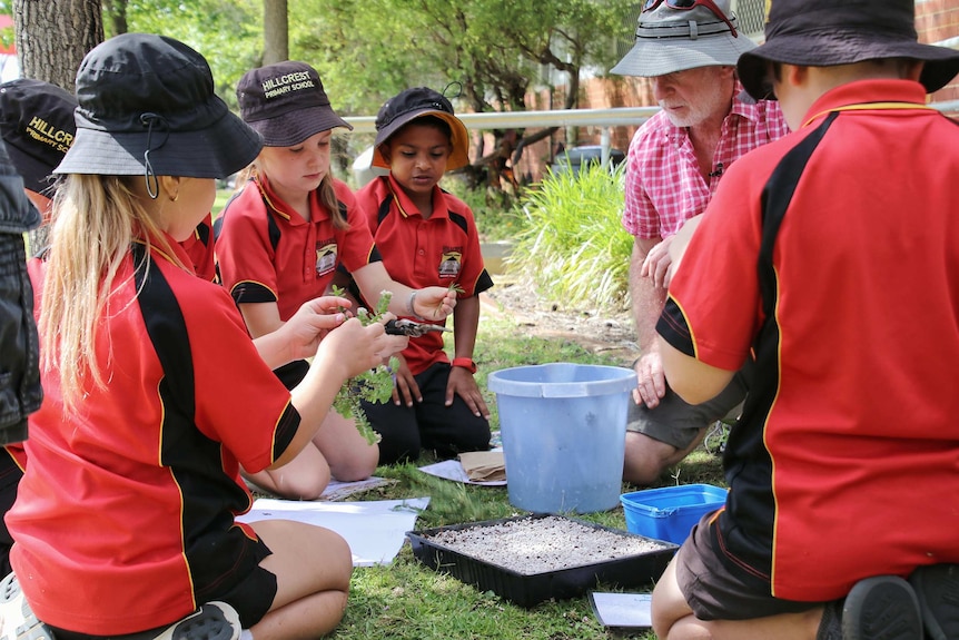 Several students in red uniforms sitting on the ground outside holding plant clippings.