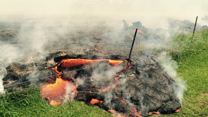 The lava flow from Hawaii's Kilauea volcano advances across a pasture