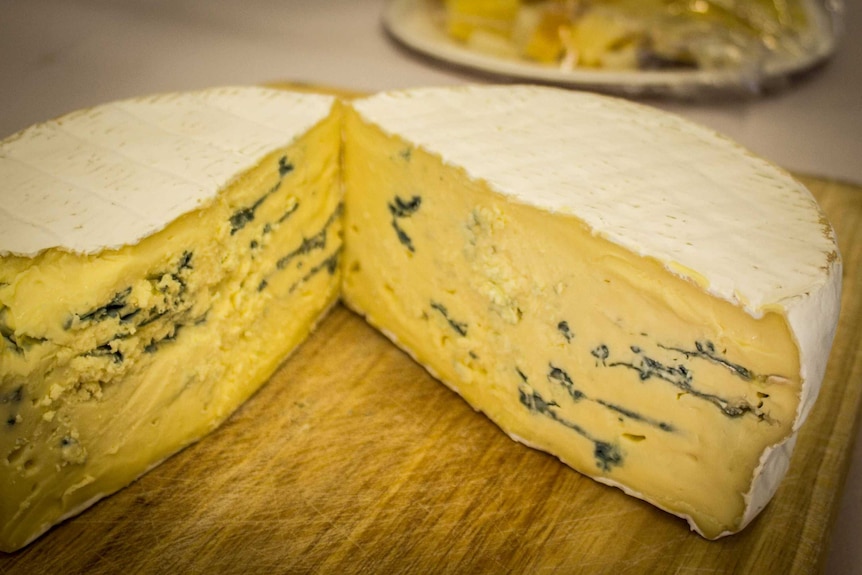 A blue cheese in competition at the Royal Show Dairy competition.