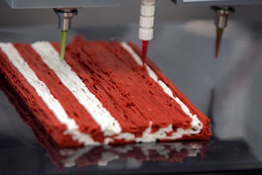 Laboratory equipment showing meat being printed on a 3D printer