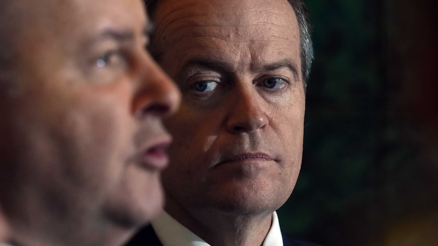 Anthony Albanese and Bill Shorten