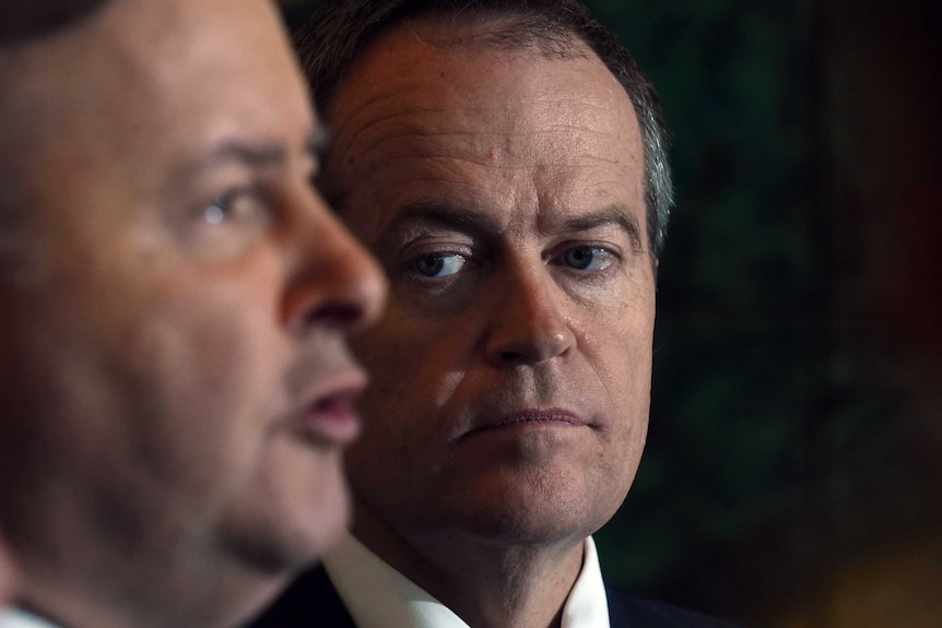 Bill Shorten and Anthony Albanese