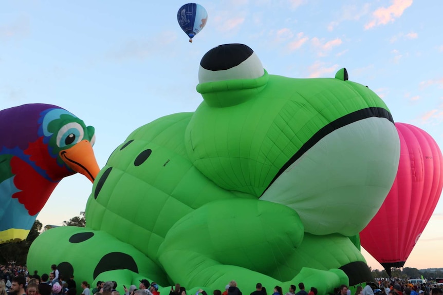 Green frog and hummingbird hot air balloons on show at Canberra Balloon Spectacular on 12 March 2018.