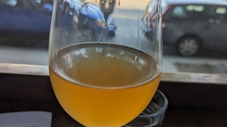 A juicy looking viscose orange natural wine in a glass on a wooden bar in front of a streetscape of cars.
