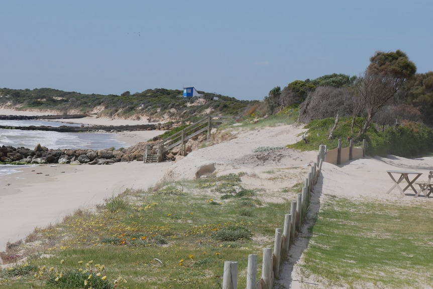 A fence along the edge of an eroding beach. 