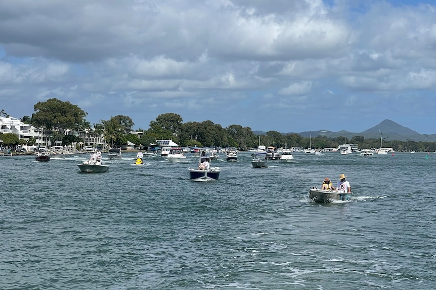 Lots of boats on the water