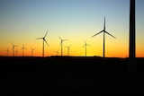 Mt Millar wind farm on Eyre Peninsula in SA