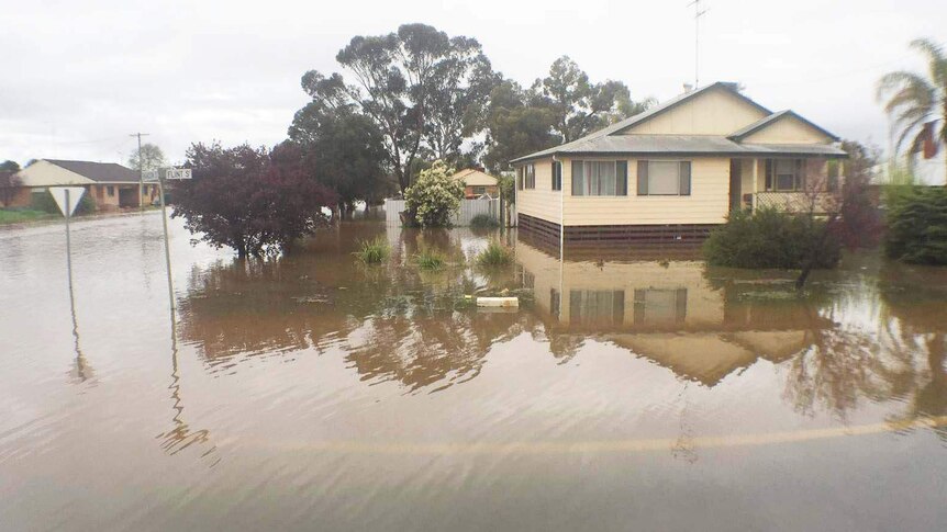 A flooded street in Forbes in regional NSW.
