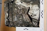 Germanwings black box data recorder flattened