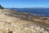 A rocky foreshore at Ralphs Bay, Tasmania.