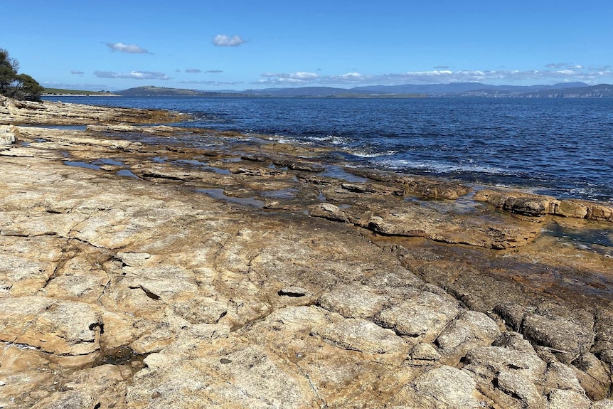 A rocky foreshore at Ralphs Bay, Tasmania.