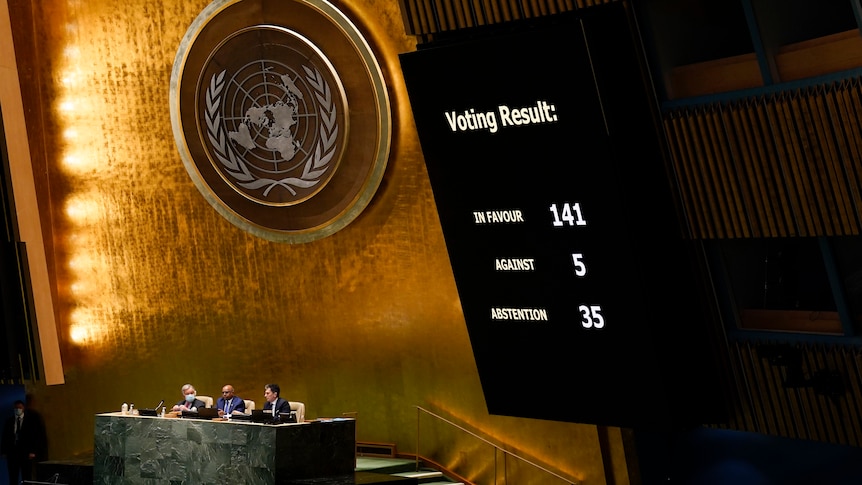 A screen reads in favour: 141, against: 5 and absentions 35 in the UN General Assembly chamber. 