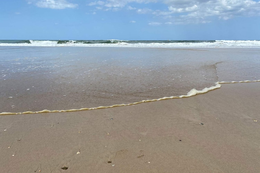 Waves and shoreline at Palm Beach on Queensland's Gold Coast.