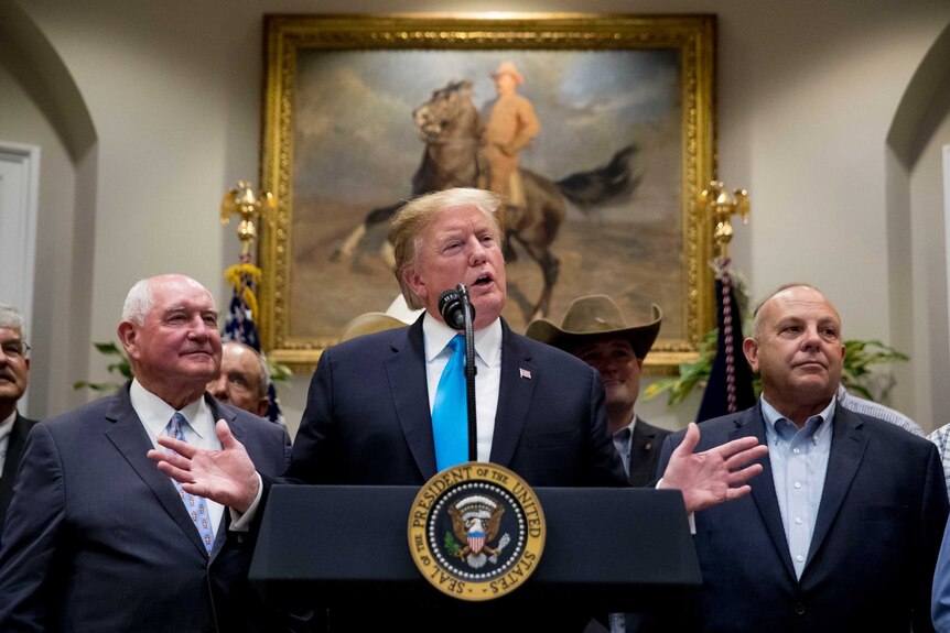 Donald Trump stands at a lectern surrounded by men in suits, some in cowboy hats.