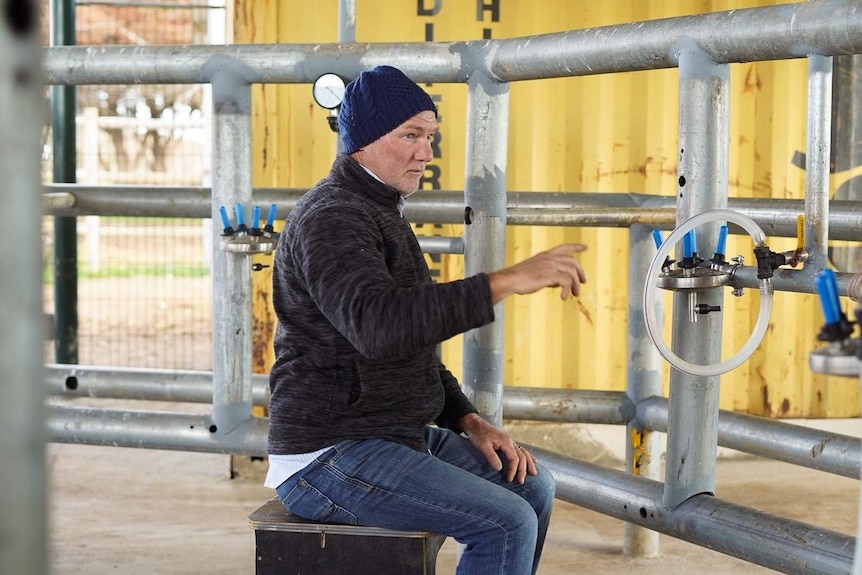 Warwick Hill sits on a crate pointing to a milking tube in a milk dairy at his camel farm.