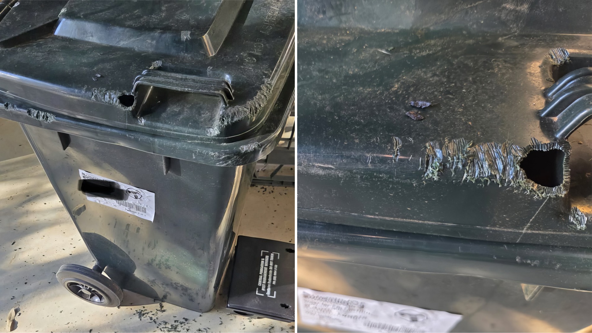 Teeth marks around a whole in a wheelie bin.