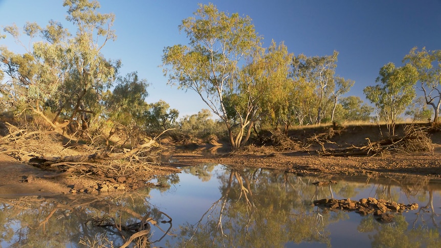 A channel of water on Noonbah Station in July 2019.