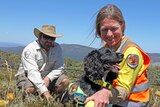 A man from Parks Victoria  and a woman from NSW National Parks are sitting with a black dog with alpine background.