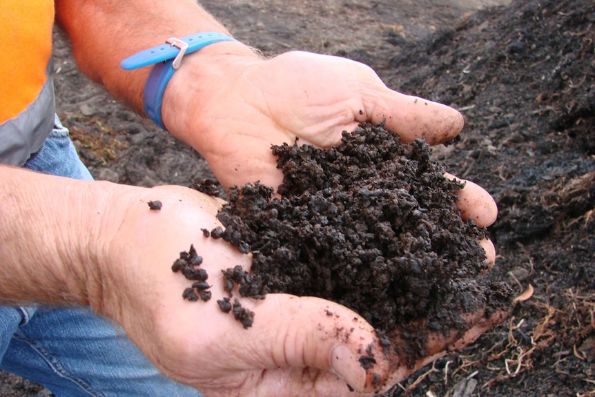 Soil Compost