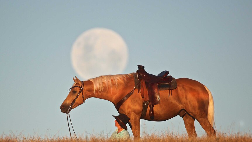 A woman sits on the ground holding her stock horse, with a full moon in the background