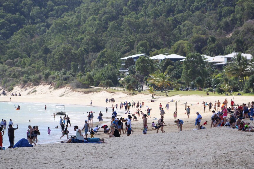 People swim in the ocean and tourists sit on the beach at Tangalooma Resort on Moreton Island off Brisbane.
