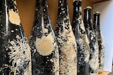 6 black bottles covered in crustaceans upright on a shelf. 