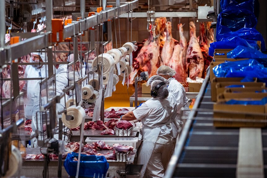 Workers on the factory floor at the Northern Co-operative Meat Company abattior.