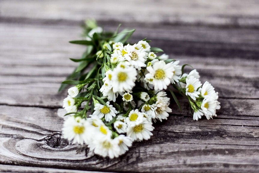 A posy of white daisies on a wooden table to illustrate bringing you own flowers to a funeral to save money