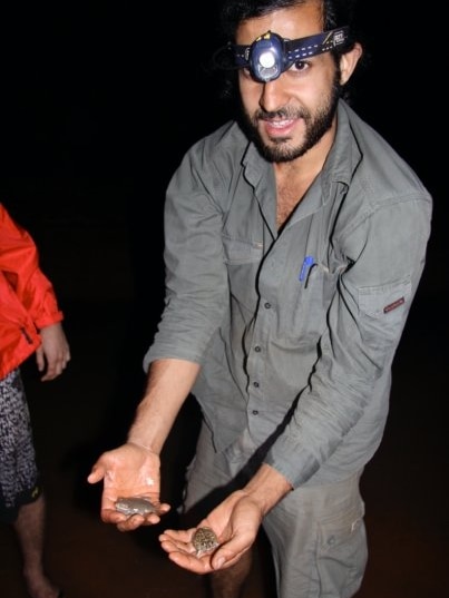 A man in a grey shirt looking at the camera with a headlamp on holds a frog in each hand.