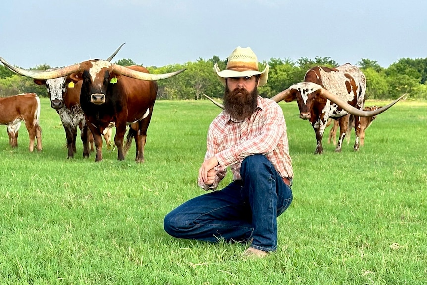 Brian sits in a paddock with longhorn cows behind him