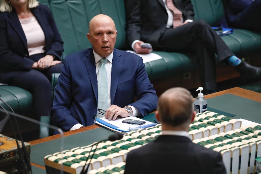 dutton looks across the main table in parliament at albanese, whose head is in the foreground