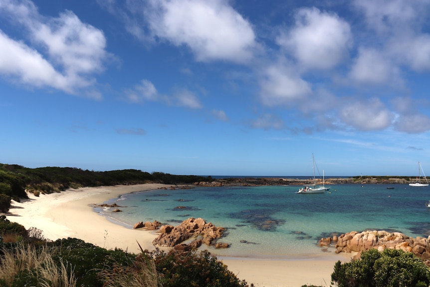 A couple of yachts sit in clear blue water, just off a beach.