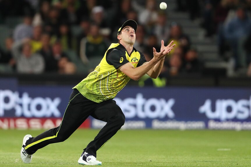 Pat Cummins looks at the ball and falls forward ready to take a catch