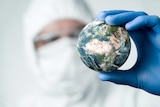 A close-up concept image of scientist in PPE holding and analysing planet Earth.
