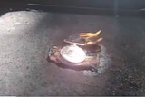 A video still of a military medal on fire