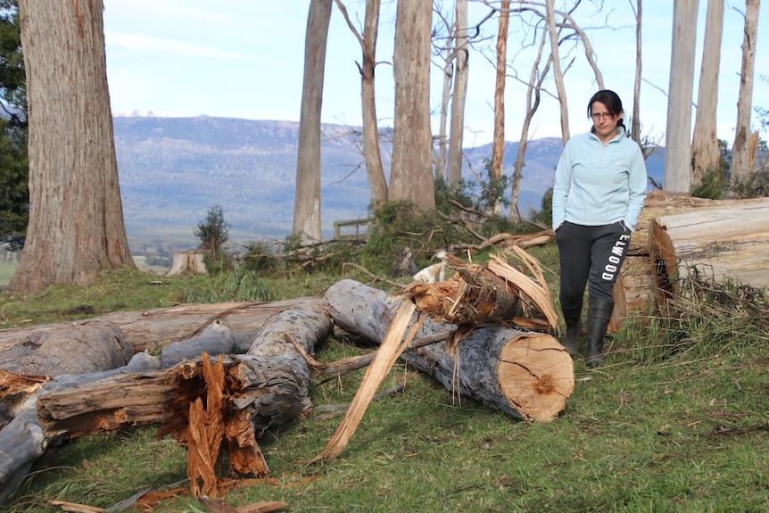 A woman walks past a fallen tree at a farm