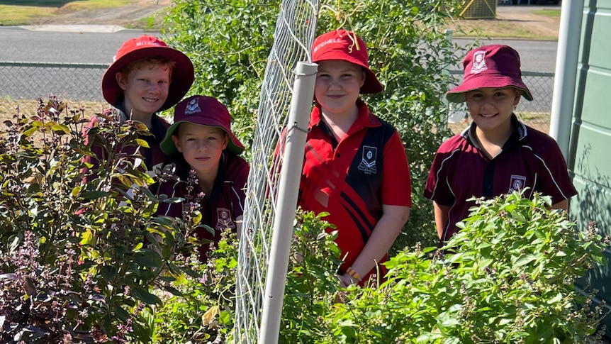 Students are barely seen behind lush growing veggies.