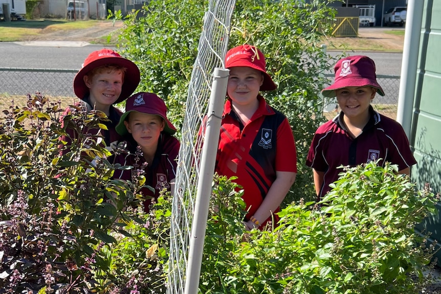 Students are barely seen behind lush growing veggies.