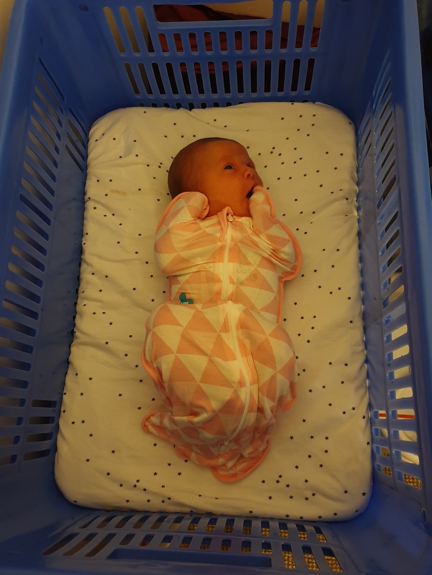 A little baby is swaddled and laying comfortably in a makeshift crib made from a plastic fishing basket