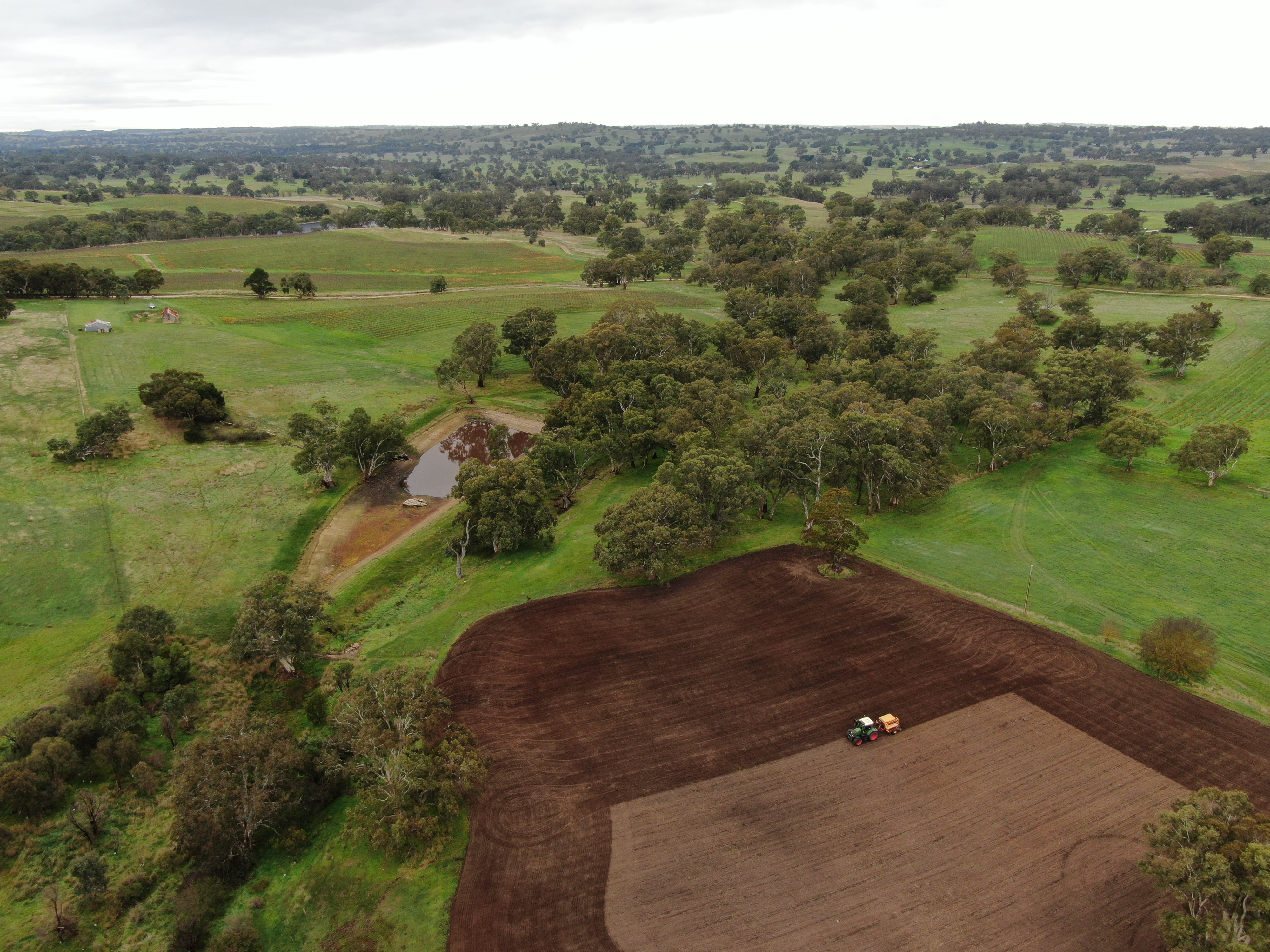 Aerial vision of barley fields.