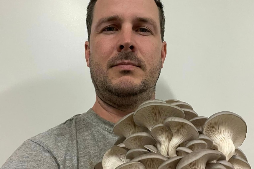 A man poses with oyster mushrooms.