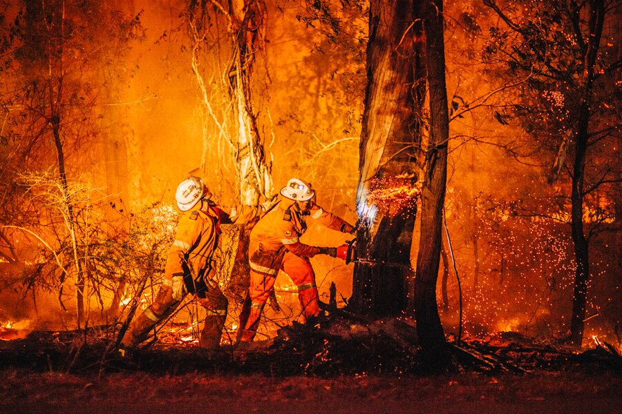 Two firefighters cut down a tree amongst fire.