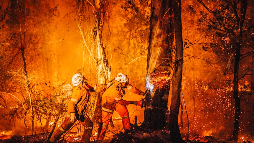 Two fire fighters cut down a tree amongst fire.