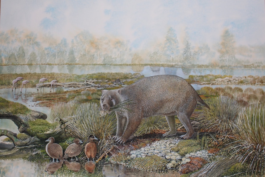 An artwork depicting a large wombat-like creature known as Mukupirna nambensis.