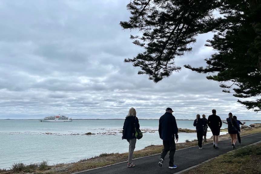 Seven people walk along a footpath beside the sea with a cruise ship docked out in deeper water.