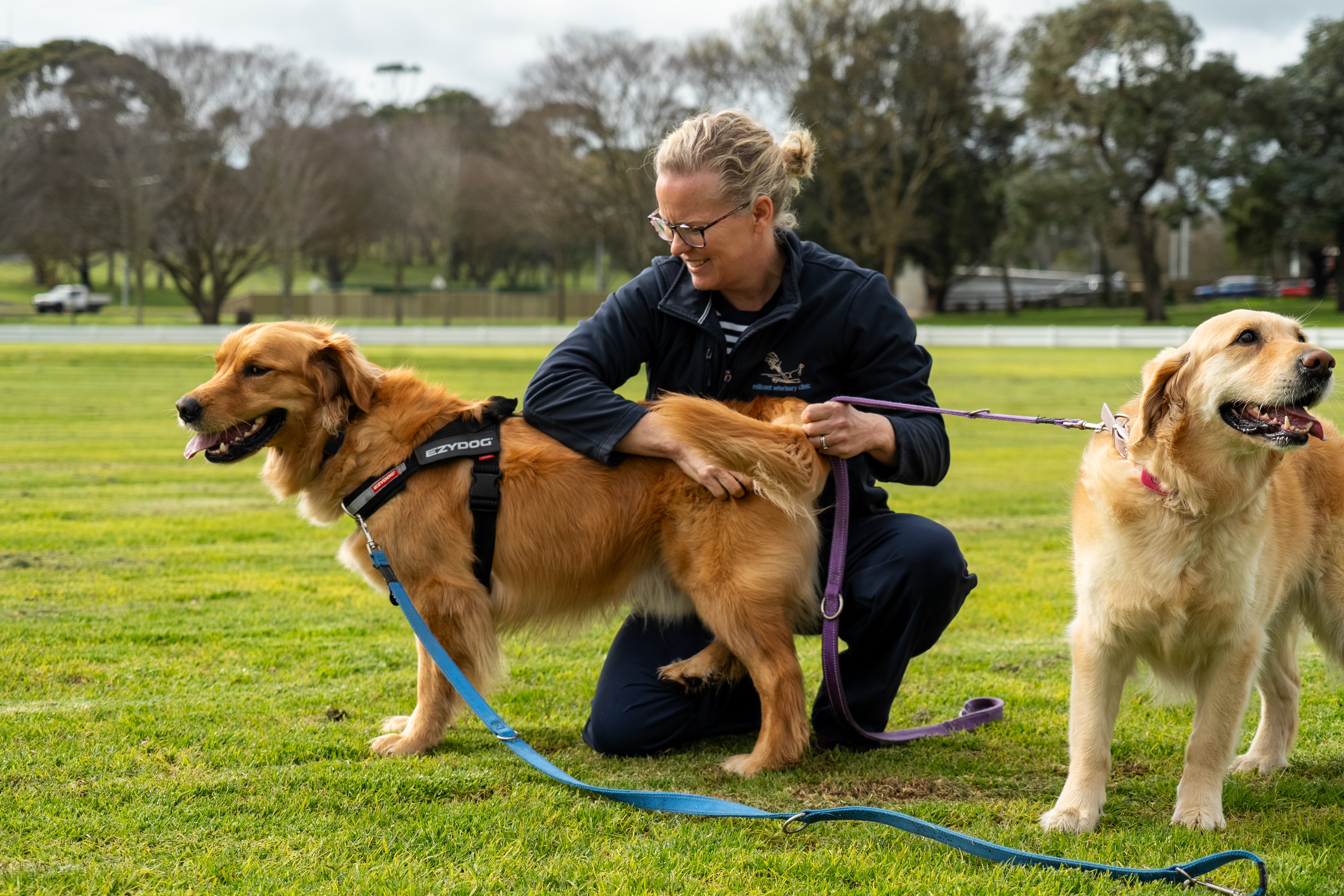 A woman kneeling down to pat a golden retriever.