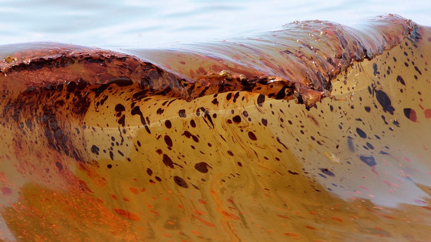 A wave breaking on Orange Beach, Alabama, more than 90 miles from the BP oil spill