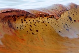 A wave breaking on Orange Beach, Alabama, more than 90 miles from the BP oil spill