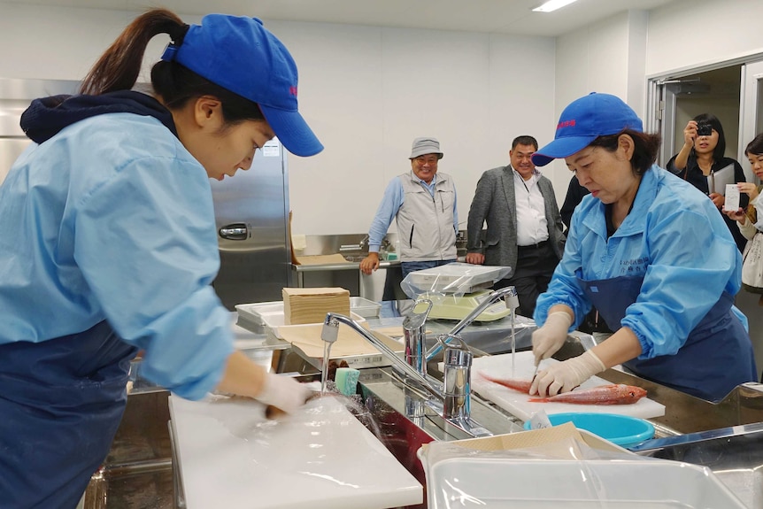 Lab technicians prepare fish caught in Fukushima prefecture to test their safety.