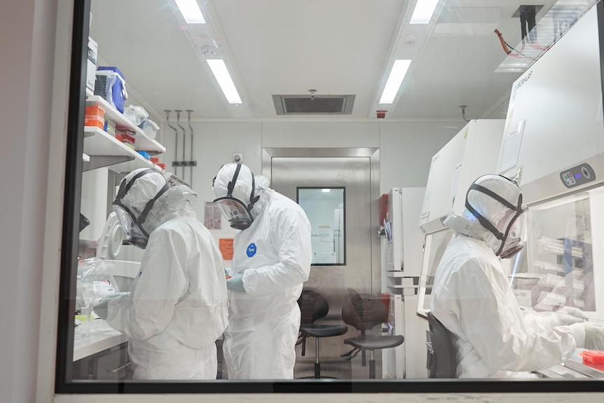 Three scientists wearing white Tyvek suits and full face PAPR masks working in a physical containment lab